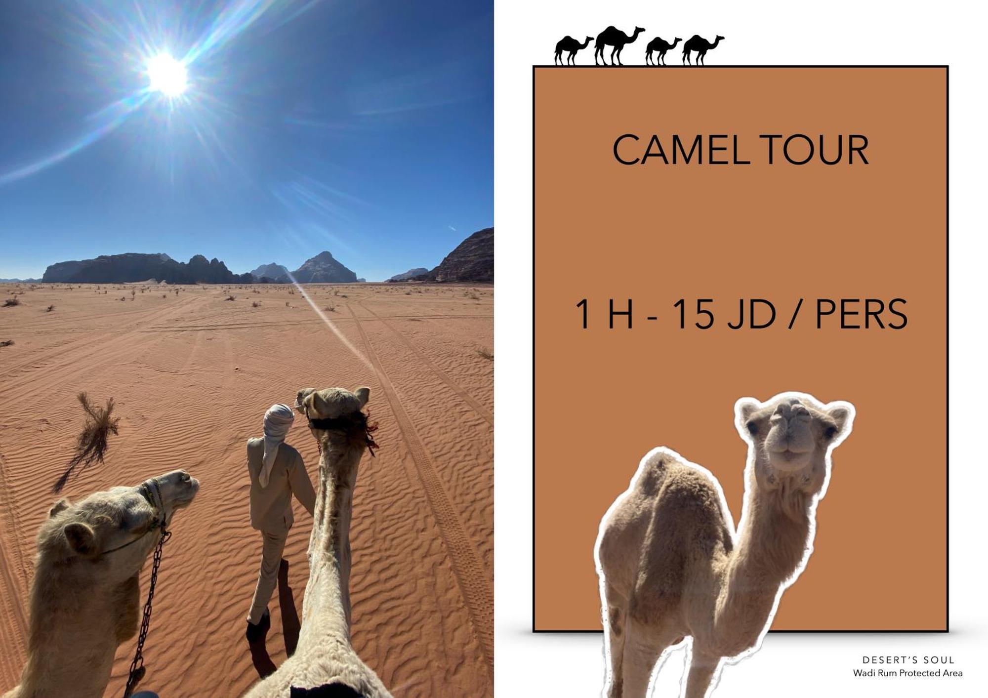 Desert'S Soul Wadi Rum Ad Disah Exterior foto