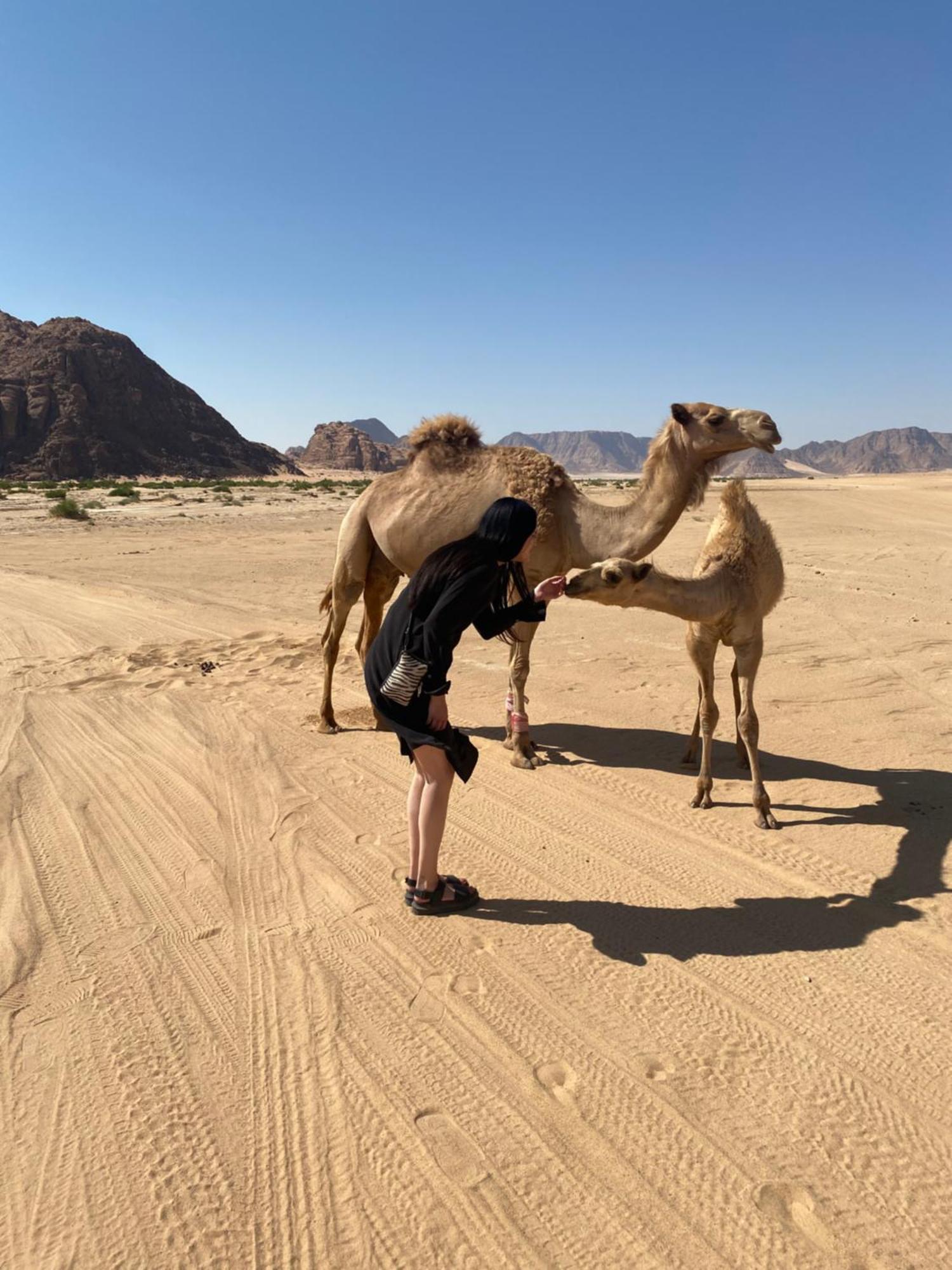 Desert'S Soul Wadi Rum Ad Disah Exterior foto